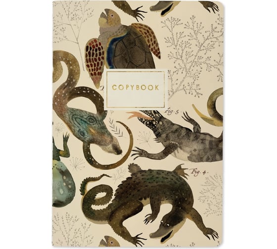 Изображение товара Тетрадь Bruno Visconti РЕПТИЛИИ A5, 40 л, клетка 7-40-001/65