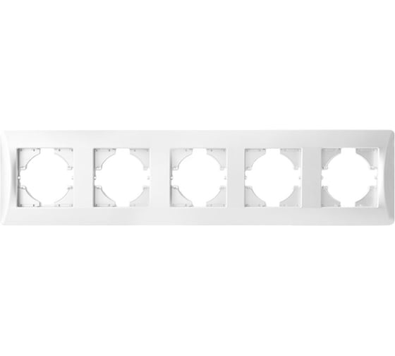 Изображение товара Рамка SPL 5 постов, белый, серия BW 205205