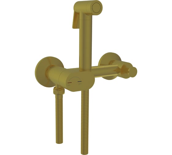 Изображение товара Гигиенический душ со смесителем RGW SP-216-Gb Золото браш (Смеситель/шланг/гигиенический душ/) 581408216-06
