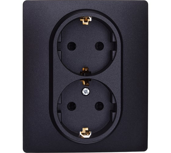 Изображение товара Розетка двойная с заземлением Legrand Daccord Inspiria со шторками, в сборе, 16А, 250В, винтовые зажимы, антрацит 673453