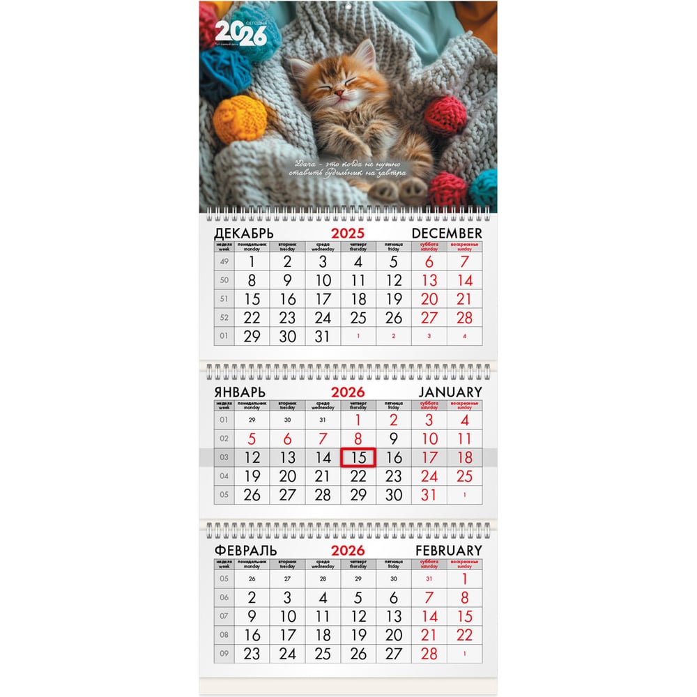 Изображение товара Квартальный календарь BRAUBERG 2026 с изображением Котенок 3 блока, 3 гребня