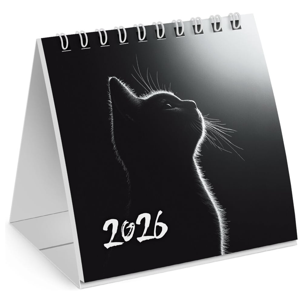 Изображение товара Настольный календарь домик на гребне BRAUBERG 2026 милый котик 101x101 мм