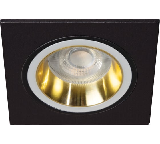 Изображение товара Кольцо точечного светильника KANLUX FELINE DSL G/B 37257