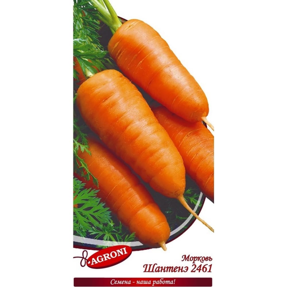 Морковь семена Агрони морковь шантане 2461 2 г агрони xs