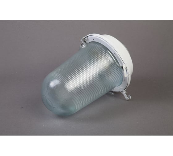 Изображение товара Светильник ФОРСВЕТ НСП 02-200-021.01 У2 б/с,стекло,крюк НСП 02-200-021.01 У2 (б/с,стекло)