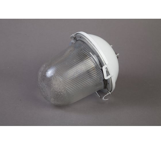 Изображение товара Светильник ФОРСВЕТ НСП 02-100-001.01 У2 б/с,стекло,крюк (6 штук) НСП 02-100-001.01 У2 (б/с,стекло) - 6 штук