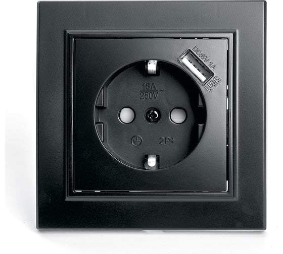 Изображение товара 1-местная розетка STEKKER с заземлением и с USB, PST16-9011-03, с защитной шторкой, серия Эрна, черный 39480
