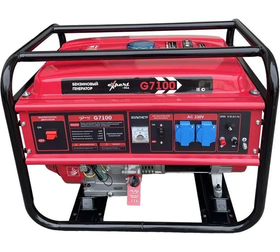 Изображение товара Бензогенератор expert-bis G7100 263826