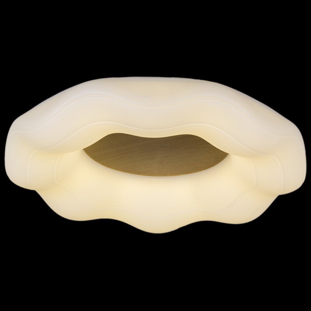 Изображение товара Потолочный светодиодный светильник Reluce 01029-0.3-01 WOOD