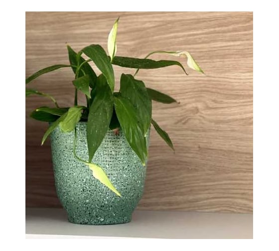 Изображение товара Кашпо керамика Scheurich Vintage d14см h14см зеленый 073375