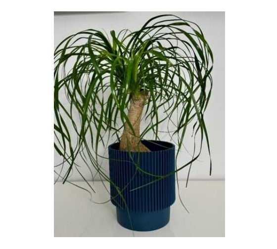 Изображение товара Кашпо ФлораПласт Elsa пластик, d15 см, h18 см, 3л синий 0 70871