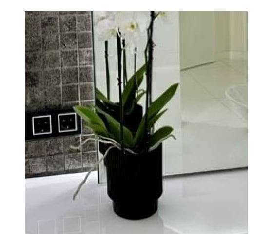 Изображение товара Кашпо ФлораПласт Elsa пластик, d15 см, h18 см, 3л черный 0 70868