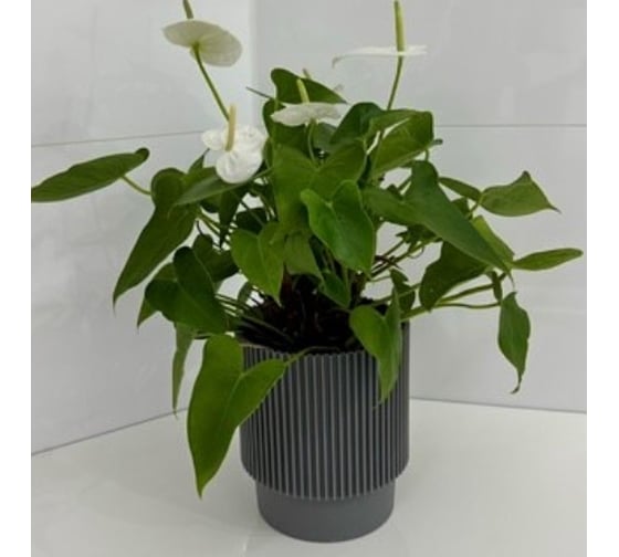 Изображение товара Кашпо ФлораПласт пластик Elsa d17см h19см 3,94л серый 0 70874