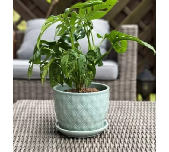 Изображение товара Кашпо Scheurich керамика Déco с поддоном d17см h13см мятный 0 73014