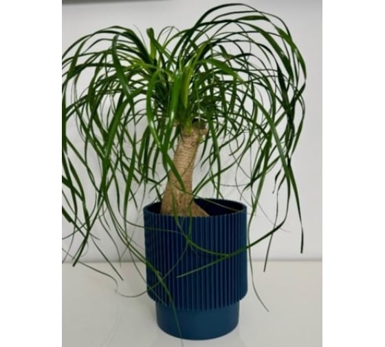 Изображение товара Кашпо ФлораПласт пластик Elsa d17см h19см 3,94л синий 0 70878