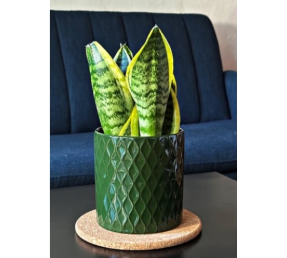 Изображение товара Кашпо Scheurich керамика Vintage d13см h14см зеленый 0 72803