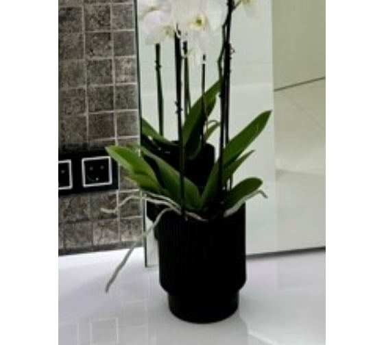 Изображение товара Кашпо ФлораПласт пластик Elsa d17см h19см 3,94л черный 0 70875