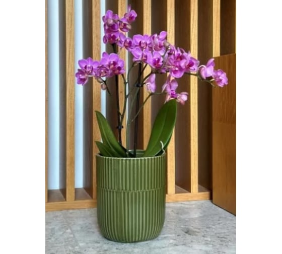 Изображение товара Кашпо Scheurich керамика Barcelona d13см h15см зеленый 0 73000