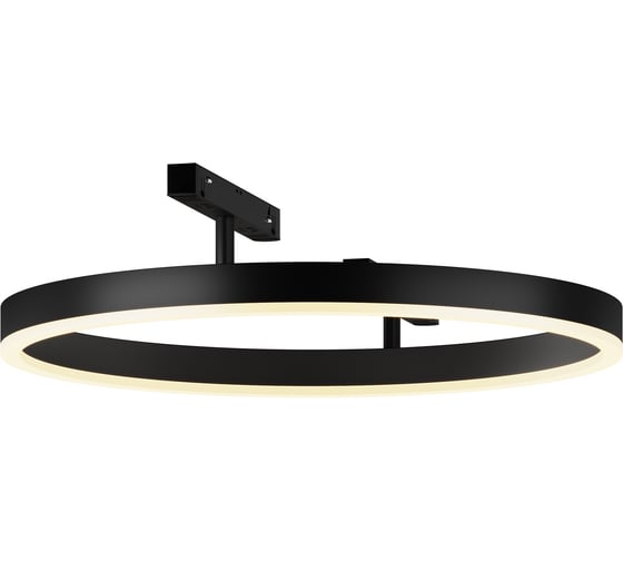 Изображение товара Трековый светильник Maytoni TR227-2-24W3K-B