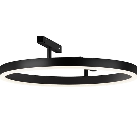 Изображение товара Трековый светильник Maytoni TR227-2-24W4K-B