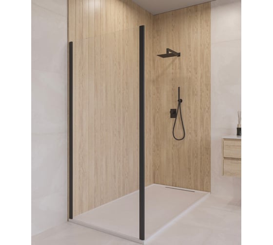 Изображение товара Боковая панель 120*190 Z-050-5-B Чёрный/Прозрачное/6 мм RGW 352205512-14