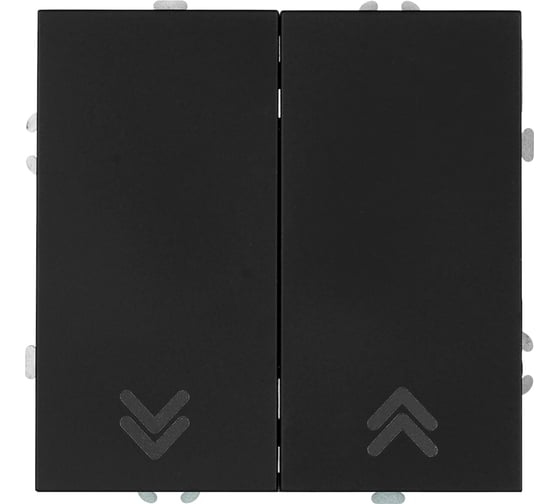 Изображение товара Выключатель 2-клавишный STEKKER самовозвратный (механизм),, 250В, 10А, серия Эмили, RSW10-5113-05, черный уголь, soft touch, 50327