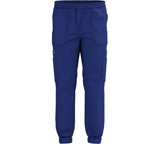 Изображение товара Джоггеры СОЮЗСПЕЦОДЕЖДА Эргофайв Актив (ERGOFIVE Active) EAPU03 василек, 58 (2XL) 2000000274508
