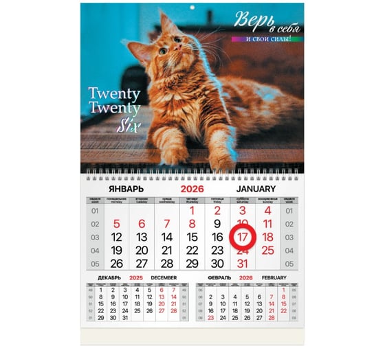 Изображение товара Календарь квартальный BRAUBERG 2026г, 1 блок 1 гребень, магнит курсор, мел.бум, Котик, 116923