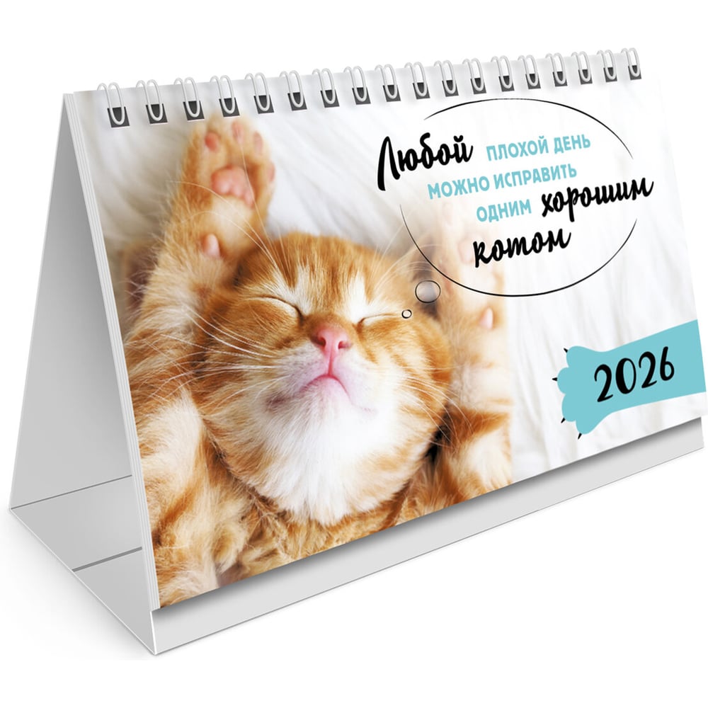 Изображение товара Календарь-домик настольный BRAUBERG на гребне, 2026г, Котики