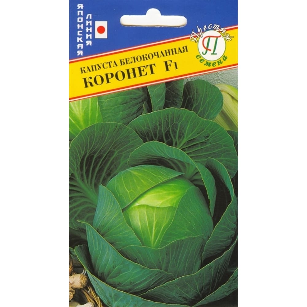Белокочанная капуста капуста Престиж-Семена капуста белокочанная засолиха f1 premium seeds