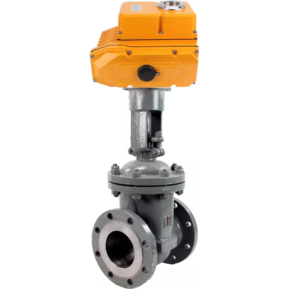 Изображение товара Задвижка клиновая DN.ru 30нж941нж с электроприводом и фланцем, нержавеющая сталь