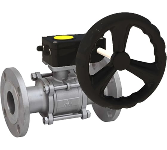 Изображение товара Кран шаровой 316-316-FP-F-ISO-H Ду65 Ру40, редуктор DN.ru D160-66176