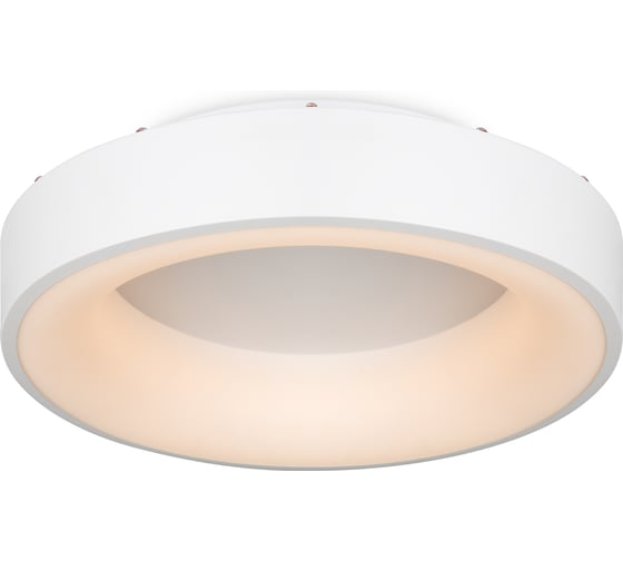 Изображение товара Потолочный светильник Freya FR6118CL-L45W