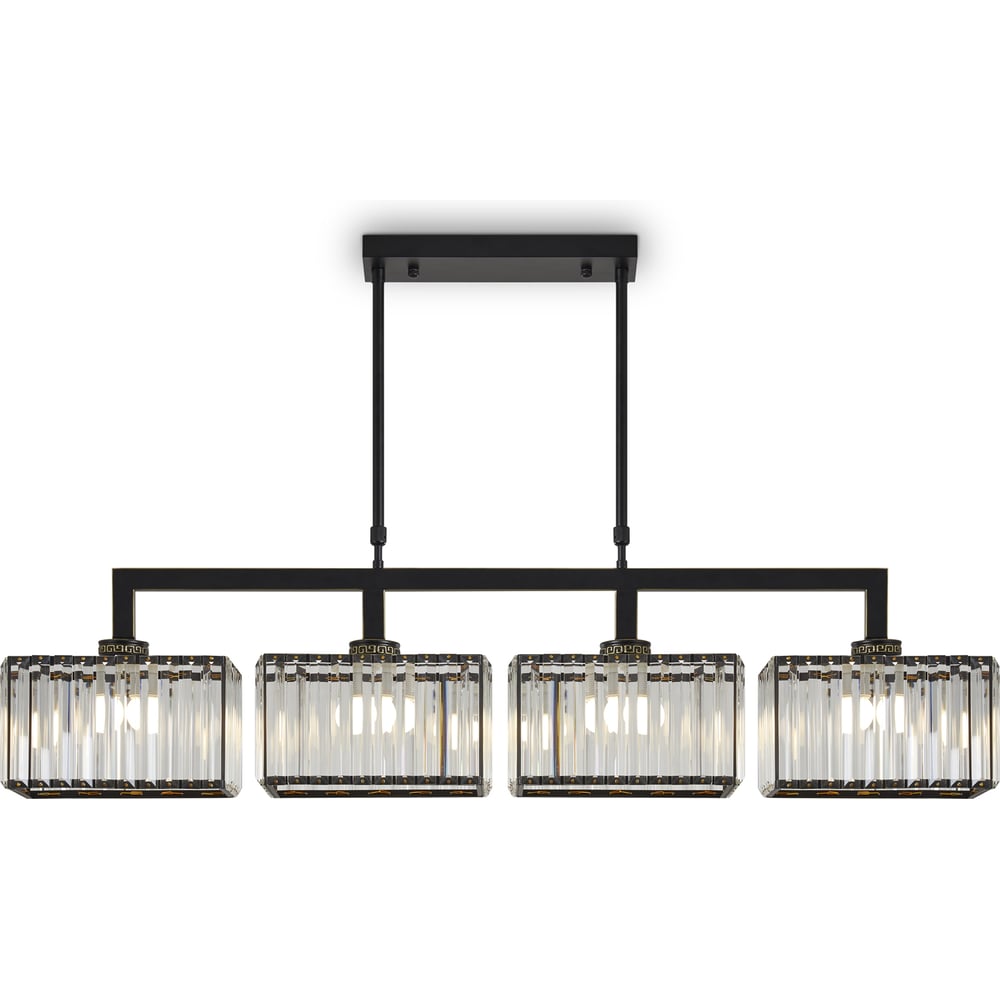 Изображение товара Люстра Freya FR5473PL-04B с прозрачными плафонами и черной арматурой