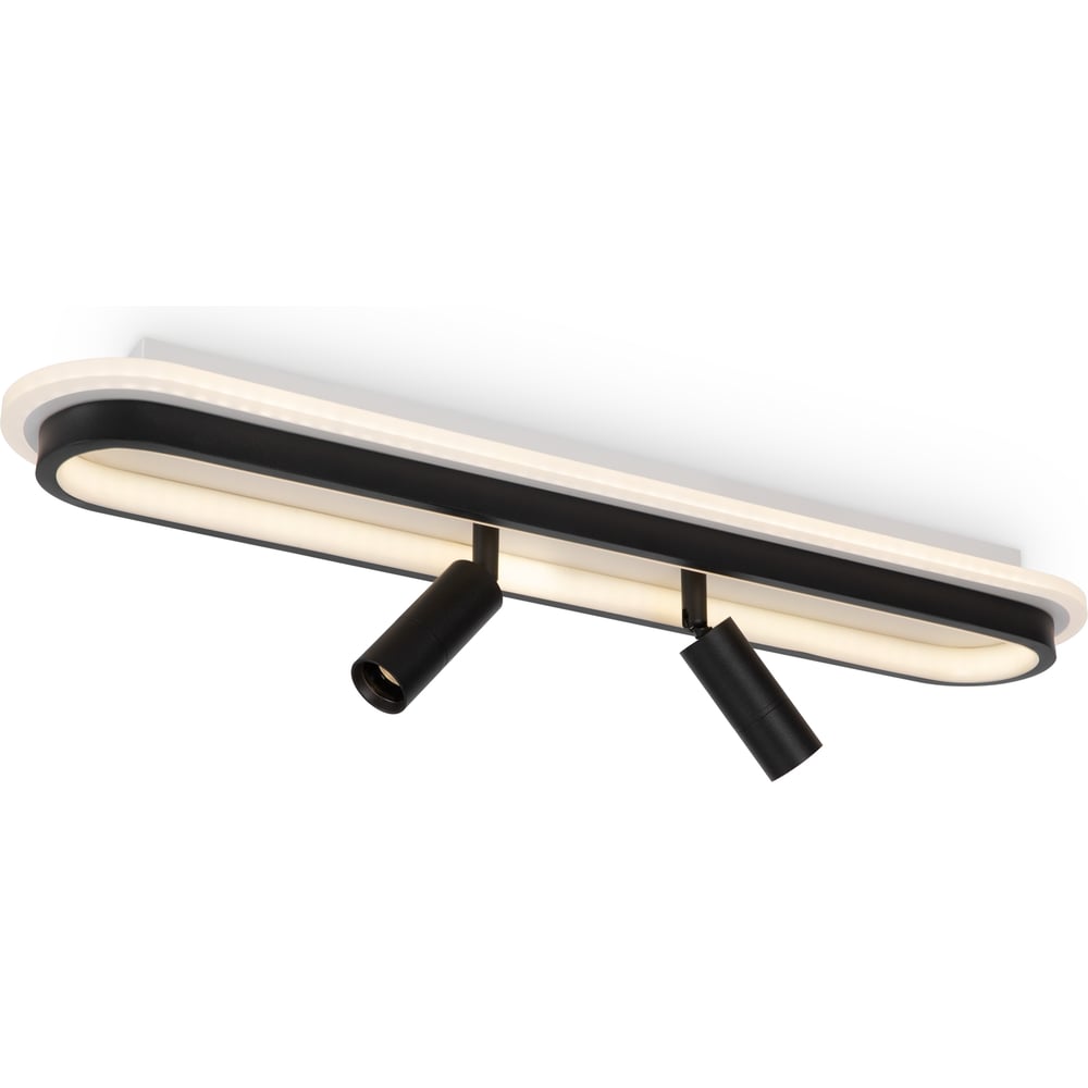 Изображение товара Потолочный светильник Freya FR6088CL-L48B