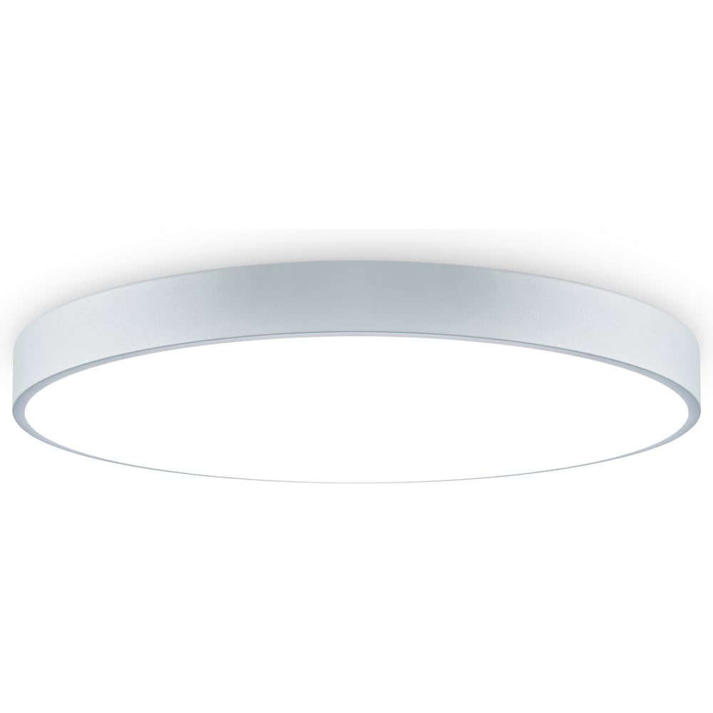 Изображение товара Современный потолочный светильник Freya FR6129CL-L80GR с регулируемой яркостью