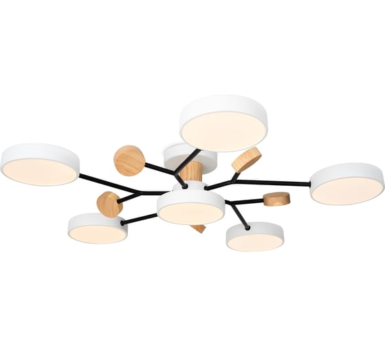 Изображение товара Потолочный светильник Freya FR6119CL-L72W