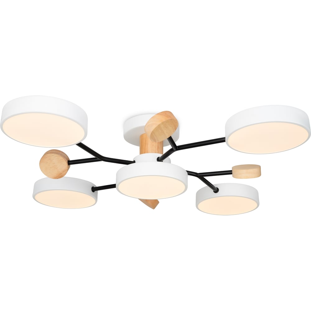 Изображение товара Потолочный светильник Freya FR6119CL-L60W с регулируемой цветовой температурой