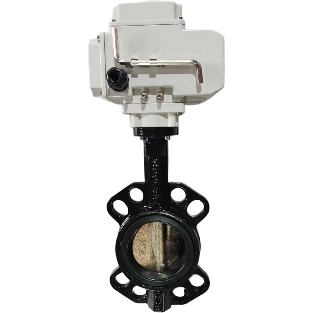 Изображение товара Затвор дисковый поворотный с электроприводом 220В Ду 50 XK 105100305