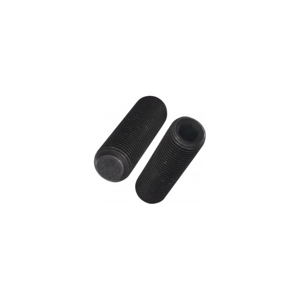 Изображение товара Установочный винт с внутренним шестигранником DIN 913 8x8 12.9, 100 шт