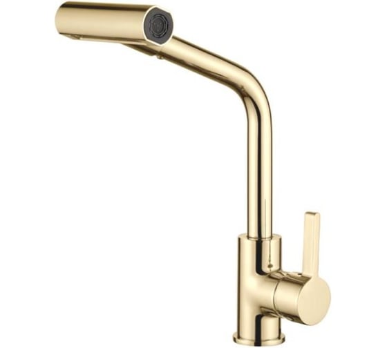 Изображение товара Смеситель для кухни Ledeme с поворотной лейкой L4099G-4