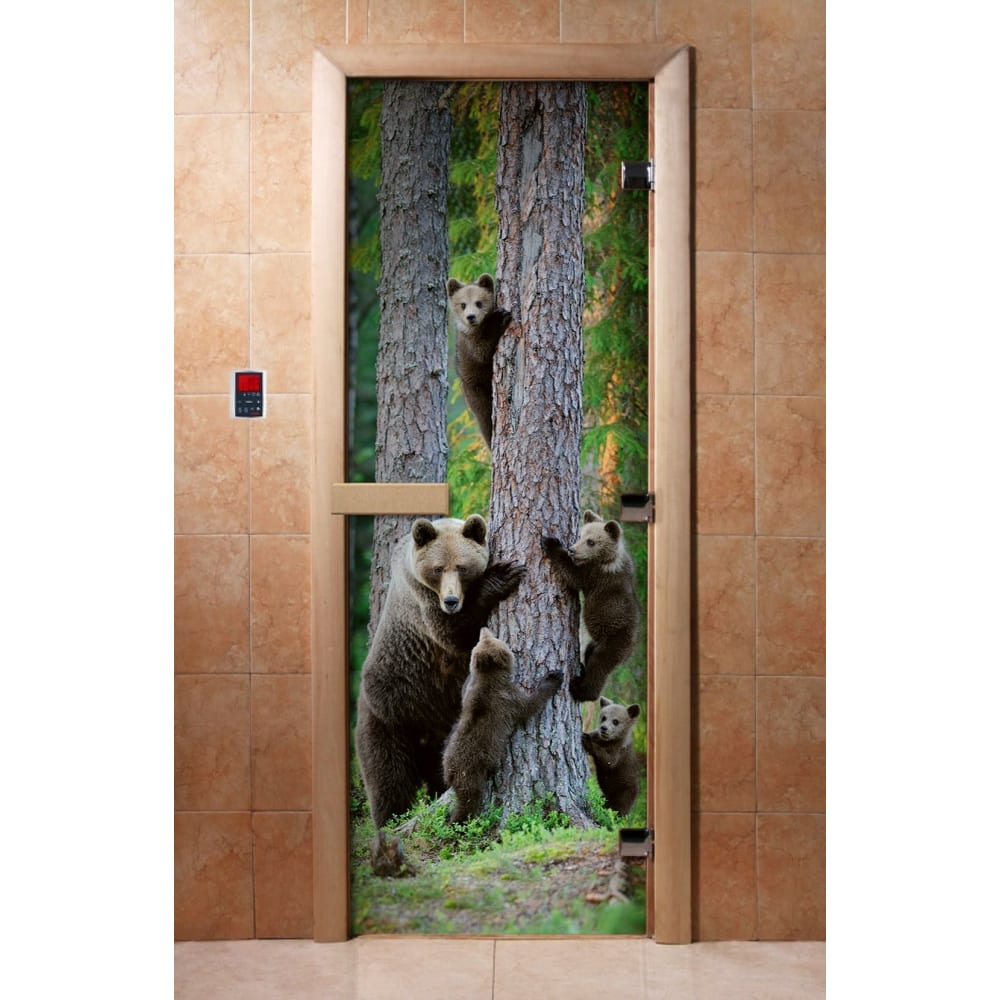 фото Дверь для бани doorwood