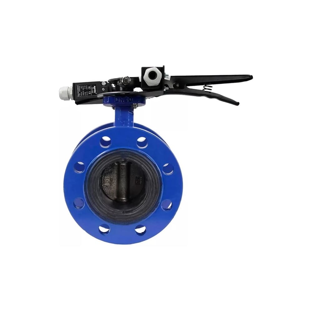 Изображение товара Затвор дисковый DN.ru GGG40-304-EPDM-2W-F-H Ду100 Ру16 с датчиками