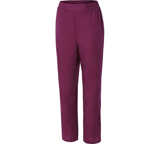 Изображение товара Женские брюки СОЮЗСПЕЦОДЕЖДА ВИТА, сливовые, р. 44-46, рост 158-164 2000000139319