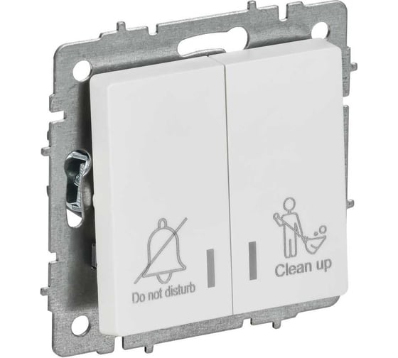 Изображение товара Выключатель 2-клавишный IEK BRITE с индикацией, отельный, 10А, арктический белый ВС10-2-9-БрАБ BR-V20-2-10-K91