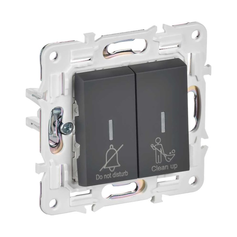 Изображение товара Выключатель 2-клавишный IEK BRITE с индикацией 10А графит