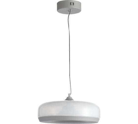 Изображение товара Светильник подвесной ST LUCE Серый/Молочный LED 1*42W 3000K SL6014.503.01