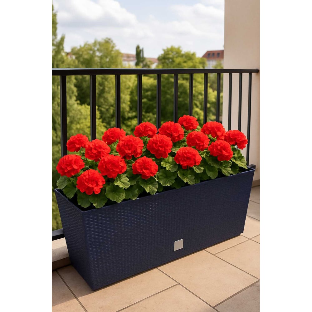 Изображение товара Балконный горшок Prosperplast Rato Case 600 графит с автополивом