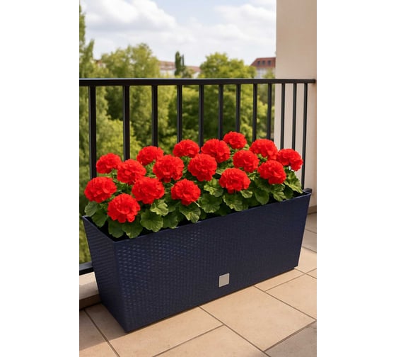 Изображение товара Горшок цветочный Prosperplast Rato Case 600 балконный, графит DRTC600-S433
