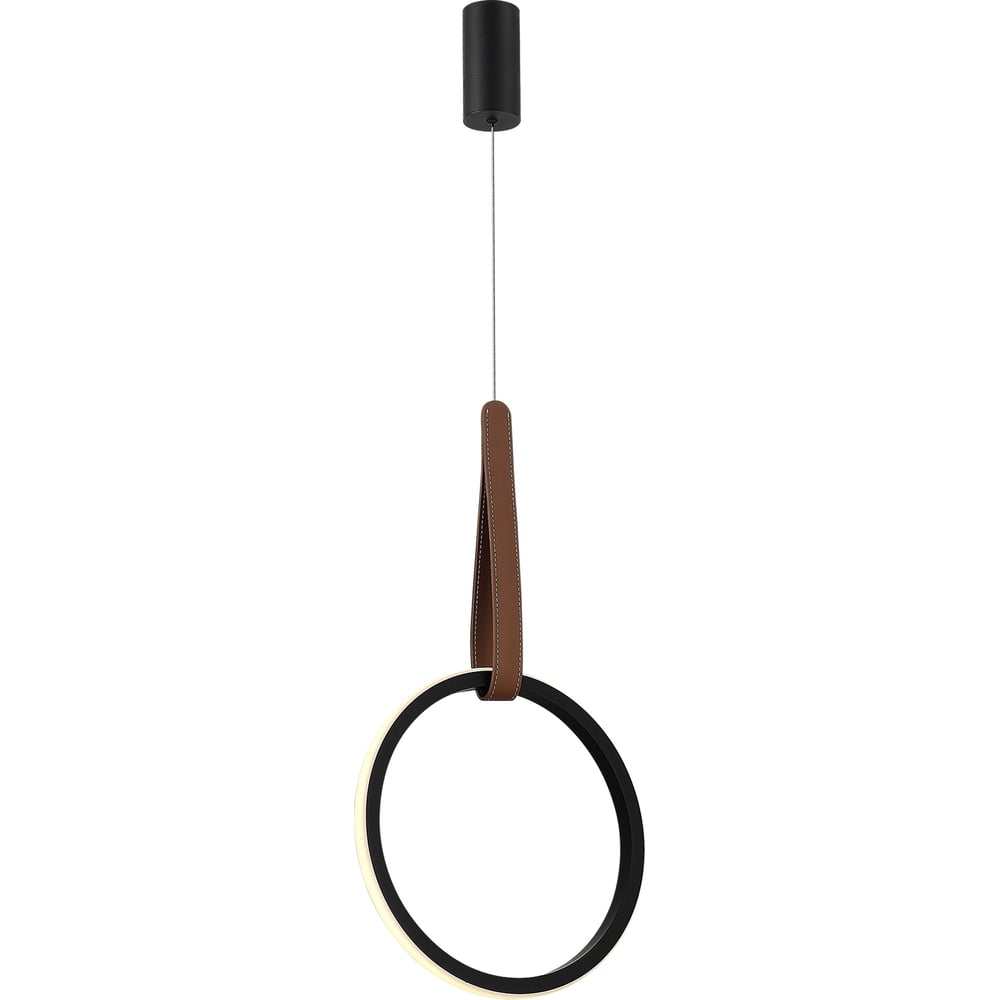 Изображение товара Светильник подвесной ST LUCE черный/черный, терракотовый LED 1*12W 4000K SL6131.403.12